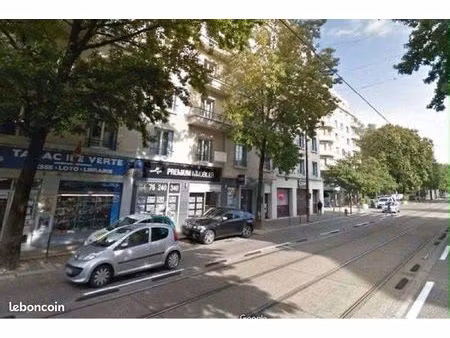 grenoble île verte murs commerciaux