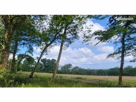 terrain 656 m² dax