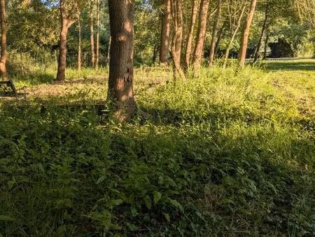 terrain de loisir