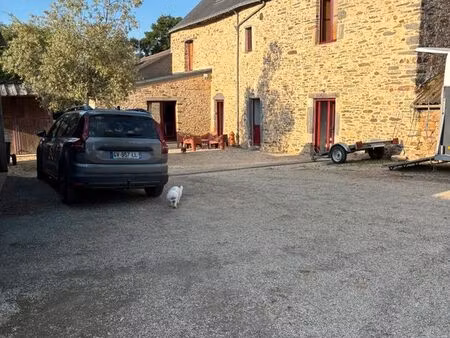 maison de caractère en pierre avec piscine - 222 m2 - 4 chambres - 3156 m2 de terrain