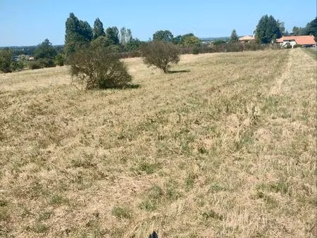 vend terrain viticole