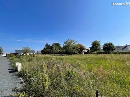 terrain 600 m² belligne