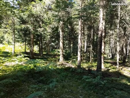 vente immobiliere terrain boisé
