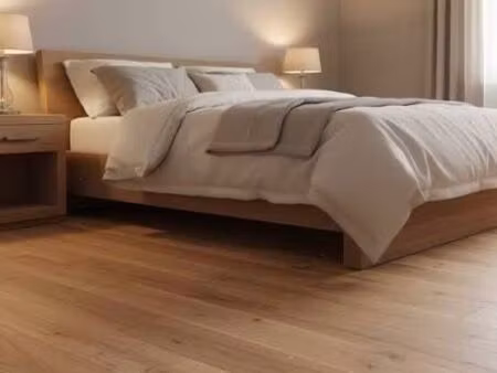 t2 meublée de 40 m2 au cœur de st chely d’apcher