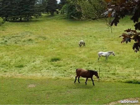 box chevaux