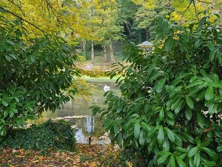 location maison bords du loiret
