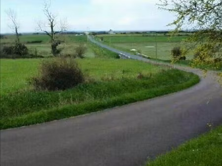 terrain de terre en herbe