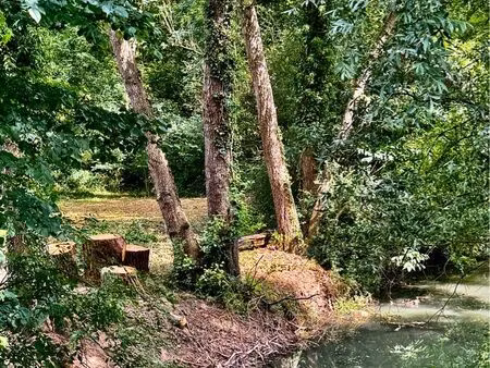 vends terrain de loisir en bord de rivière + foret