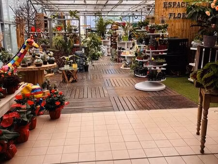 fleuriste  fonds de commerce  jardinerie 1400 m² cormontreuil