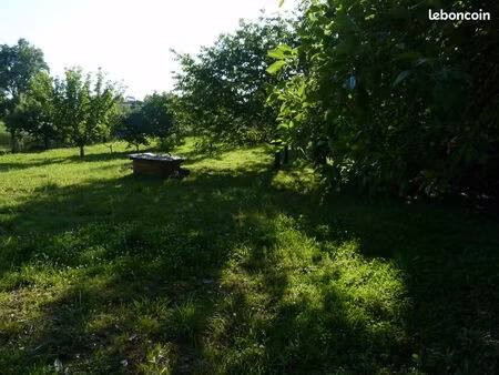 terrain a batir avec cu