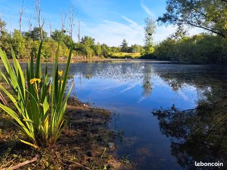 terrain de loisir avec etang