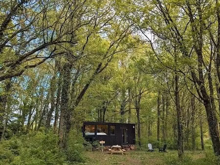 recherche parcelle de forêt/clairière/terrain