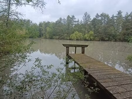 terrain de loisirs avec étang nature pêche et chasse 3 27 hectares