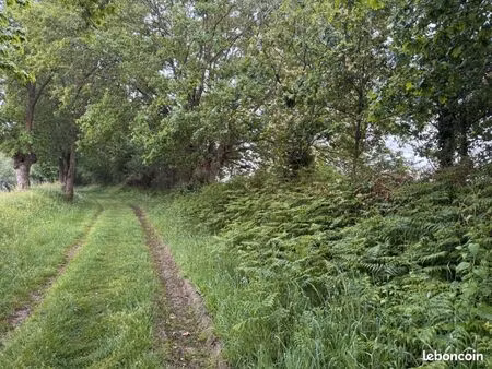 terrain 812 m² cosse le vivien
