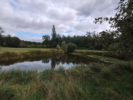 terrain agricole  étangs  bois