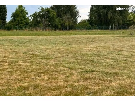 terrain constructible