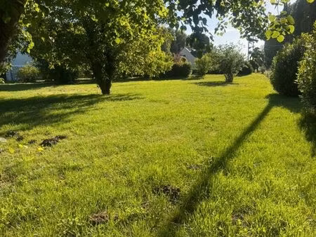 terrain constructible