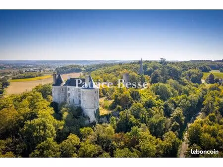 château 16 pièces 1 010 m²