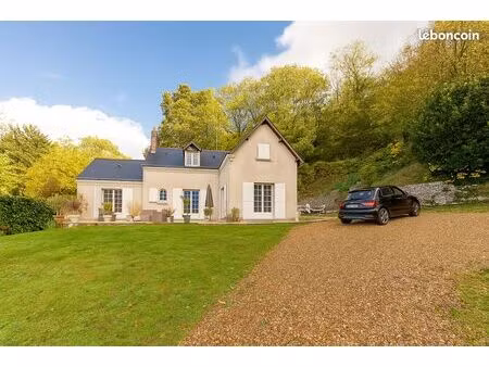 maison avec jardin vernou sur brenne