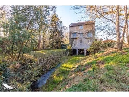 moulin 7 pièces 294 m²