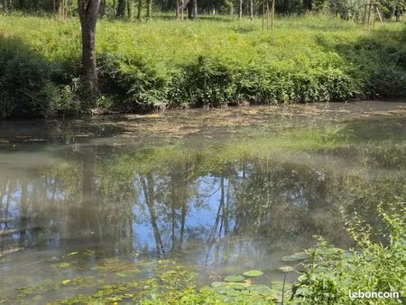 coup de peche