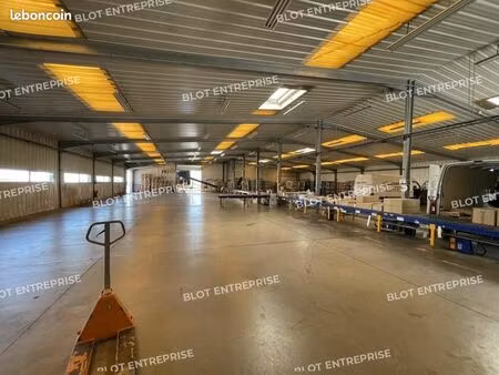 local d'activité 1 350 m²