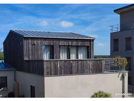 appartement toit terrasse 1 chambre