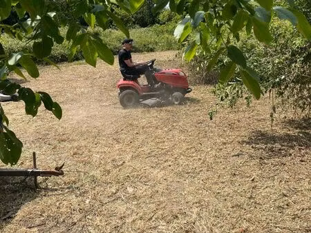 location terrain pour poney ou cheval ou autre