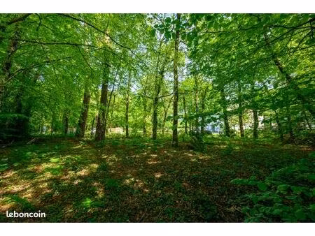 terrain 823 m² caudan