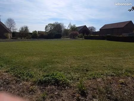 terrain constructible