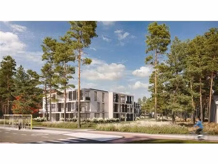 rez-de-chaussée à vendre à dennendreef 24 vosselaar (rbw03160)