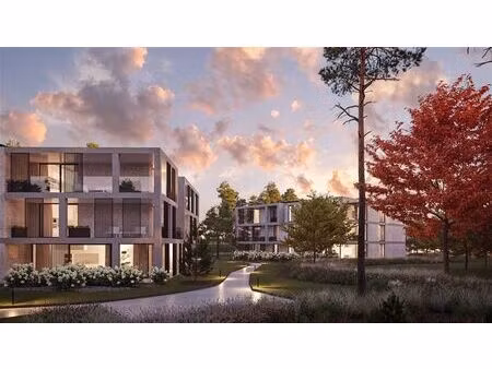 rez-de-chaussée à vendre à dennendreef 24 vosselaar (rbw03188)