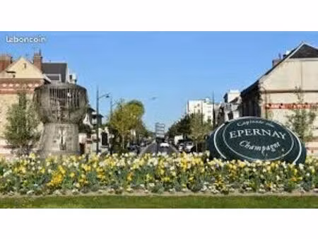 murs commerciaux centre ville epernay
