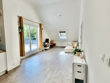 appartement t2 lumineux 47m2 hors carrez avec grande terrasse