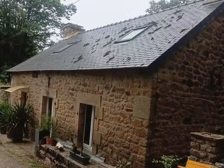 vente maison 56320 lanvénégen