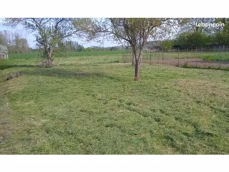 terrain constructible