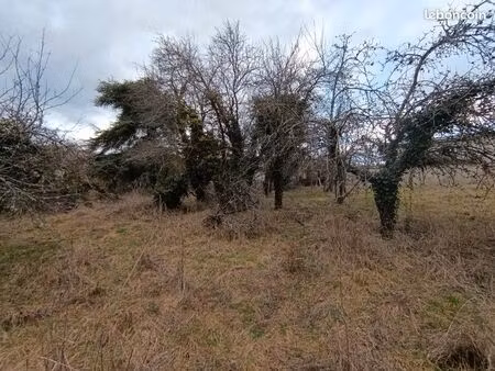 rare parcelle de terrain a batir