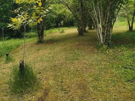 terrain bois de loisirs