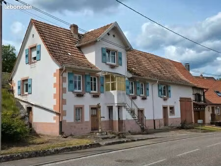 maison mitoyenne avec grand terrain