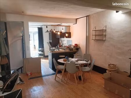 triplex 97m2 hyper centre