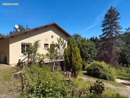 maison pleine de charme avec grand terrain et intimité à deux pas de puy-l’évêque