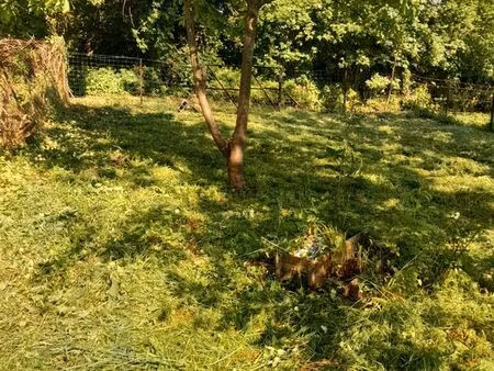 terrain weed end
