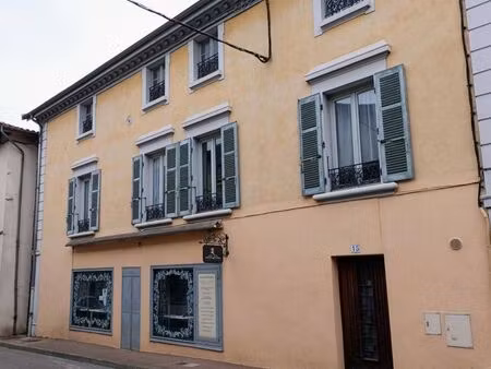 immeuble 487 m² roussillon