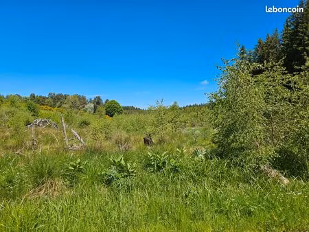 3400m2 bois coupe taillis nc saint germain l herm 63630