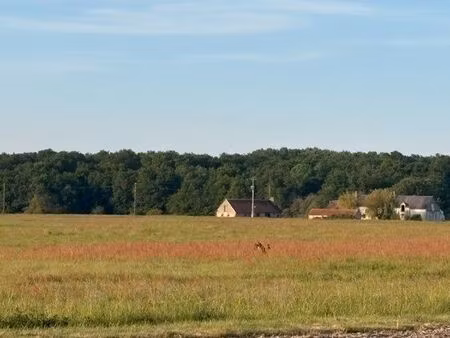terrain agricole