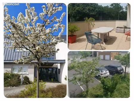 studio meublé 20m2 chalonnes-sur-loire