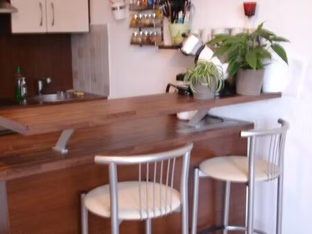 appartement 2 pièces  bien équipé