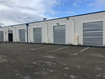 local dépôt entrepôt professionnel 100m2