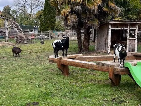 je cherche une maison