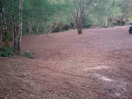 recherche terrain a louer